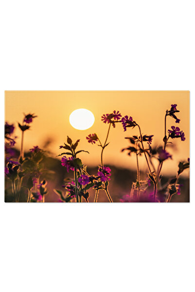 StoryGift Romania Tablou Canvas Cer Dramatic Colorat La Apus Peisaj, Avion, C...