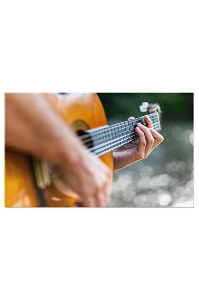 StoryGift Romania Tablou Canvas: Armonii De Vara: Chitara Si Melodii Sub Cerul Liber