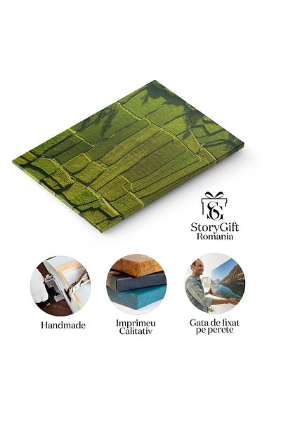 StoryGift Romania Tablou Canvas: Terenuri agricole din Asia, vedere aeriana, paleta verde a recoltei gata de cule