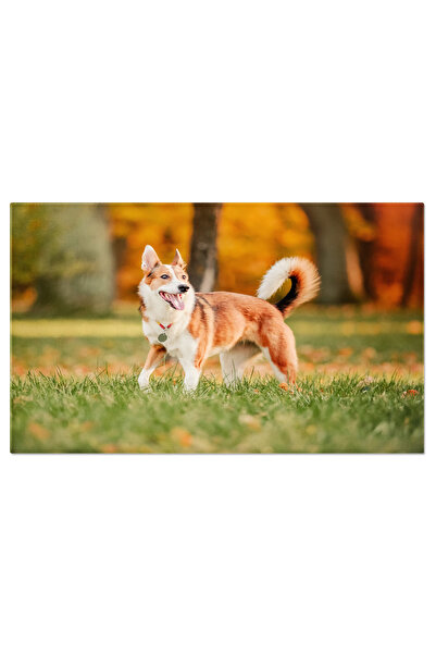 StoryGift Romania Tablou Canvas: Toamna In Complicitate Cu Prietenul Canin - ...