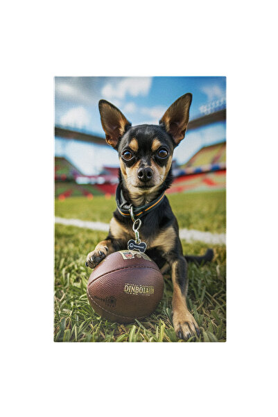 StoryGift Romania Tablou Canvas Pe Stadionul De Fotbal American Cățelul Chihu...