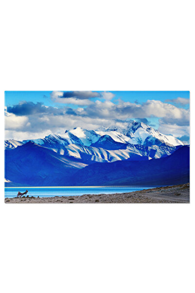 StoryGift Romania Tablou Canvas Snowboard In Actiune, Sport Extrem, Munte, Za...