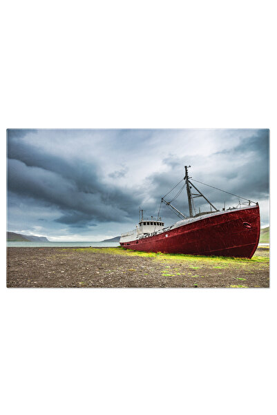 StoryGift Romania Tablou Canvas: Amintiri Din Trecut - Epava De Nava In Natura