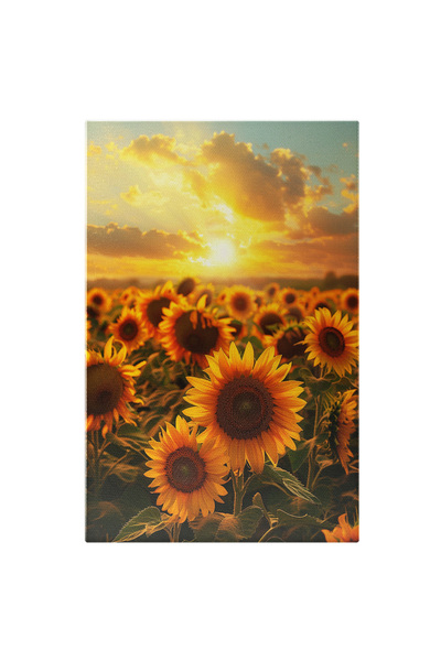 StoryGift Romania Tablou Canvas: Peisaj Tipic De Vară Cu Un Câmp De Floarea Soarelui - Lumina Apusului Ce Mângâi