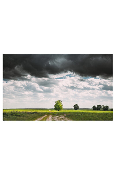 StoryGift Romania Tablou Canvas Cer Intunecat Deasupra Peisajului Rural Sezon...