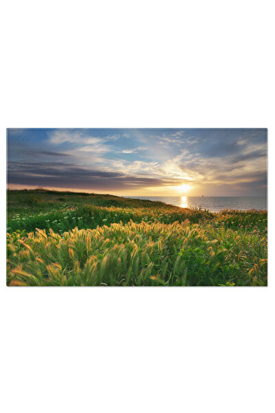 StoryGift Romania Tablou Canvas Cer, Marea Si Iarba Verde, Peisaj, Natura, Horizon. 4115