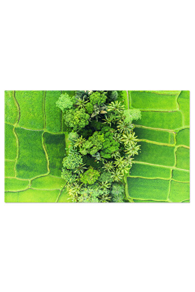 StoryGift Romania Tablou Canvas Farmecul Teraselor De Orez Din Bali Aerian, Ascensiune, Agricultura, Natura, Munt