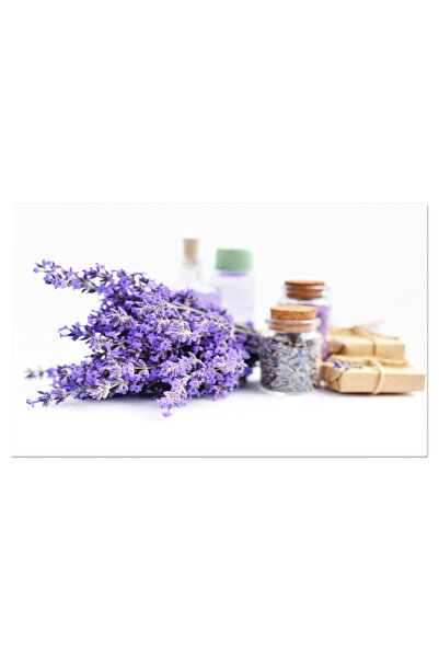 StoryGift Romania Tablou Canvas: Lavanda - Terapie Aromatica Si Relaxare