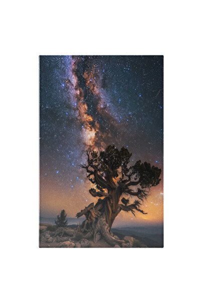 StoryGift Romania Tablou Canvas: Măslinul De O Mie De Ani Rezistența Rădăcinilor În Peisajul Nocturn Înstelat Pic