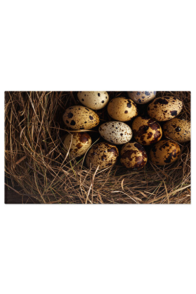 StoryGift Romania Tablou Canvas Oua De Prepelita Proaspete Intr-un Cuib Pe Fu...