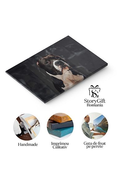 StoryGift Romania Canvas Painting 40 x 25CM - Staffordshire Terrier: Courageous, Trained and Energetic Puppy 40x2 STG
