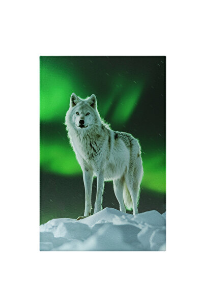 StoryGift Romania Tablou Canvas: Un Lup Alb Nedumerit De Ce Se Intampla Pe Cer, Lup Cu Ochii Sclipitori Unici Pi