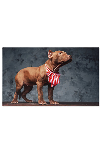 StoryGift Romania Tablou Canvas - Staffordshire Bull Terrier Cu Aspect Elegan...