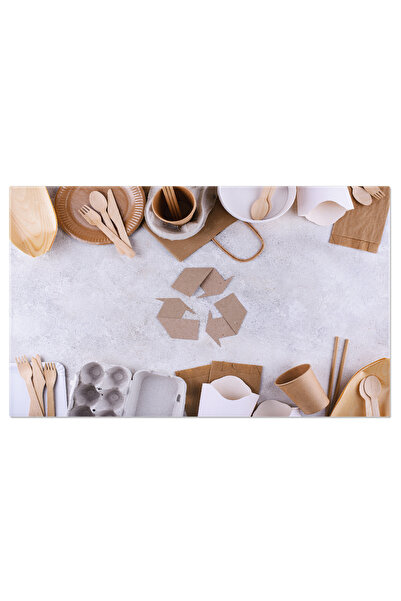 StoryGift Romania Tablou Canvas Solutii Ecofriendly In Ambalarea Alimentelor,...