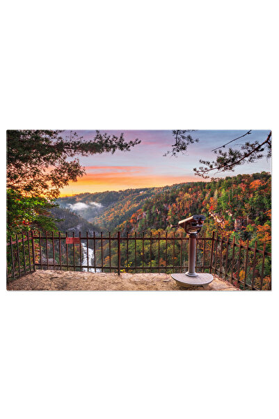 StoryGift Romania Tablou Canvas: Dimineata Cetoasa In Muntii Blue Ridge