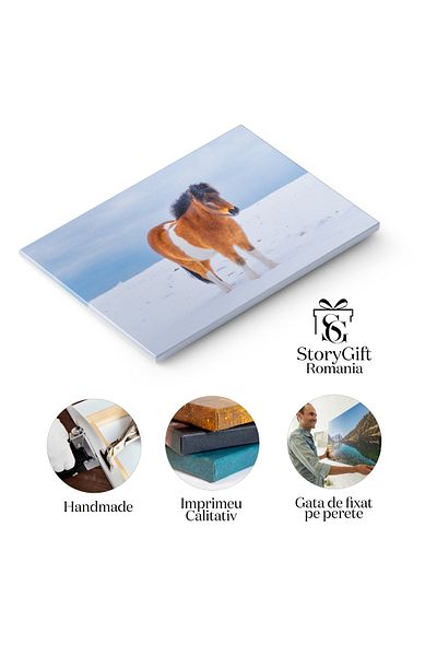 StoryGift Romania Tablou Canvas 120 X 80cm Cal In Islanda, Cal, Natura, Islanda, Vestfjords 120x80cm Stg