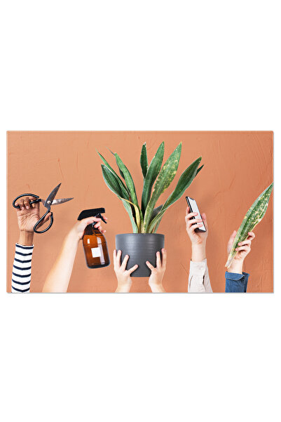 StoryGift Romania Tablou Canvas Unelte De Gradinarit - Esentialul Unui Gradin...