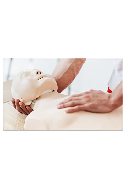 StoryGift Romania Tablou Canvas - Instruire Cpr, Echipament Medical, Interior...