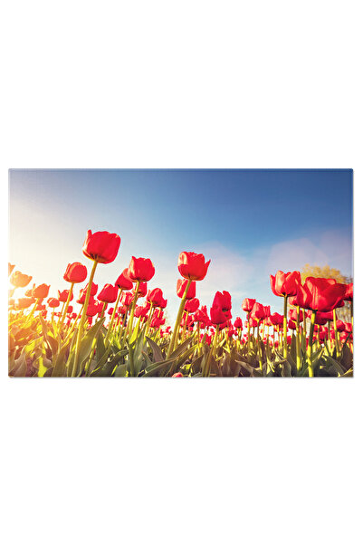 StoryGift Romania Tablou Canvas: Camp De Flori In Primavara - Natura Inflorit...