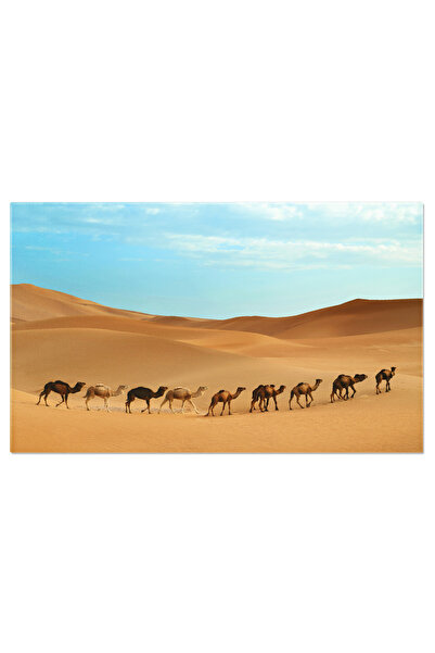StoryGift Romania Tablou Canvas Caravana In Desert Sahara, Africa Caravana, D...