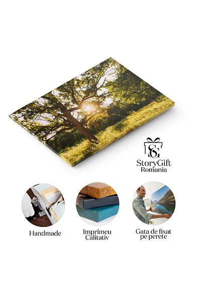 StoryGift Romania Tablou Canvas Lumina Soarelui Si Iarba In Bataia Razei, Soare, Iarba, Natura, Lumina, Frunze 28