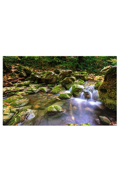 StoryGift Romania Tablou Canvas Peisaj Cascada In Padure - Armonia Naturii