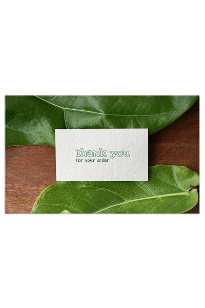 StoryGift Romania Tablou Canvas: Spatiu Pentru Design Cu Plante