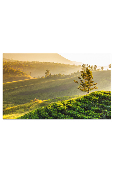 StoryGift Romania Tablou Canvas: Peisaj Cu Cadere De Apa In Sri Lanka