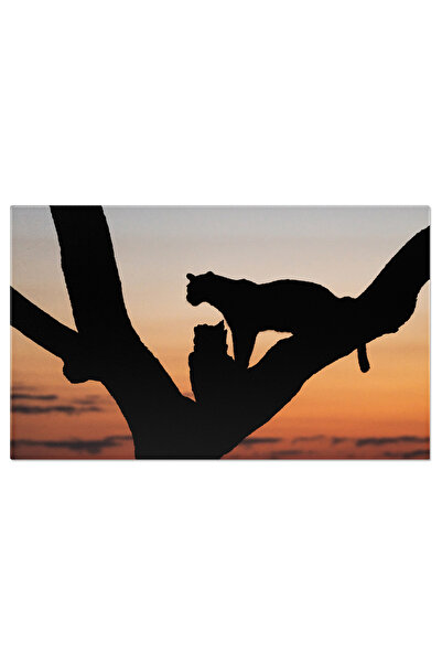 StoryGift Romania Tablou Canvas: Leopard Siluet? La Amurg - Fauna S?lbatic? Din Africa De Sud În Lumina Searii"