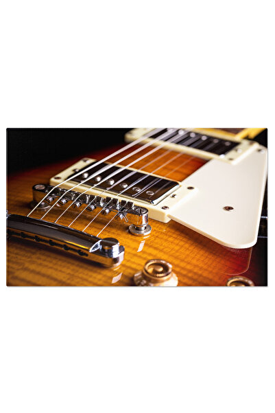 StoryGift Romania Tablou Canvas: Nuante De Blues Evocate De O Chitara Electrica - Sunet, Concert, Muzician