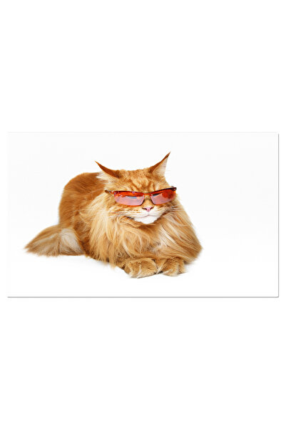 StoryGift Romania Tablou Canvas - Lynx Cu Dinti Ascutiti: Felina Impresionanta