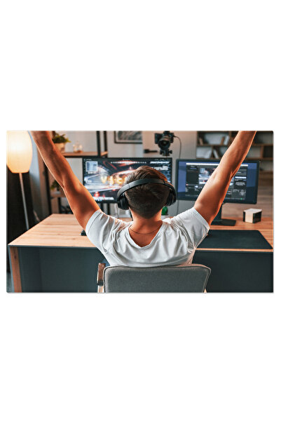 StoryGift Romania Tablou Canvas - Streamer: Transmiterea Live A Succeselor