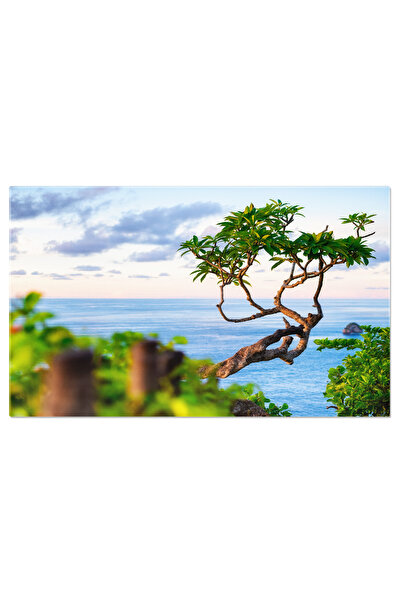 StoryGift Romania Tablou Canvas Plaja Kelingking In Nusa Penida, Bali Iii, Ae...