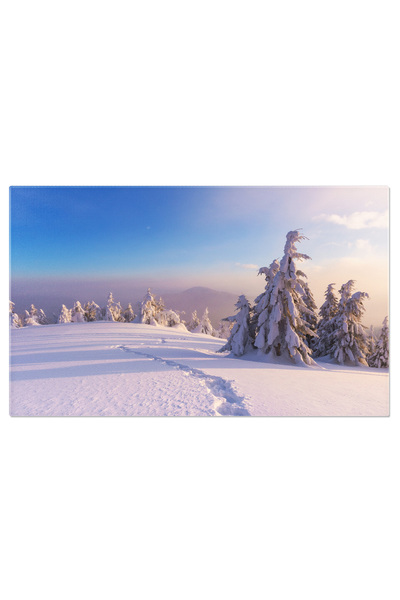 StoryGift Romania Tablou Canvas Pini, Plaja Si Mare La Marina Di Cecina Copac...