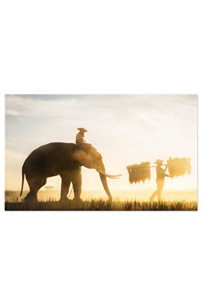 StoryGift Romania Tablou Canvas Elefanti In Dimineata Frumoasa Din Asia Agro-...