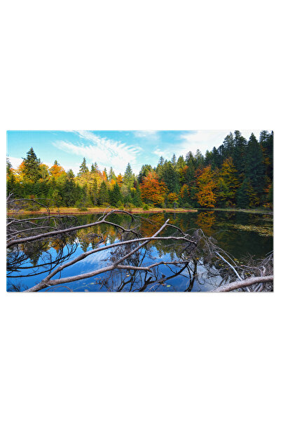 StoryGift Romania Tablou Canvas - Frumusetea Toamnei: Natura, Foi Colorate Si...