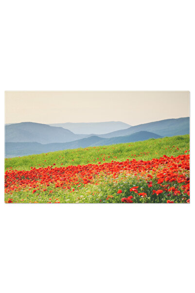 StoryGift Romania Tablou Canvas Flori De Primavara Intr-o Pajiste: Flori, Paj...