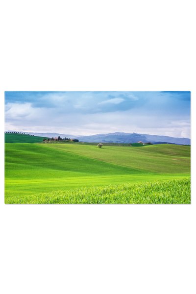 StoryGift Romania Tablou Canvas Pauza La Ferma Toscanei: Relaxare