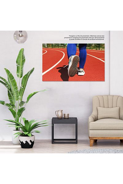 StoryGift Romania Tablou Canvas Cu Pregatire Fizica: Exercitii, Efort Si Determinare