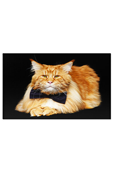 StoryGift Romania Tablou Canvas - Pisica Coon Alb Si Rosu: Detaliu Felin