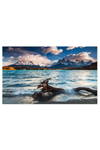 StoryGift Romania Tablou Canvas: Destinatie De Vis In Patagonia Chiliana - Pe...