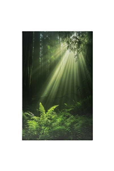 StoryGift Romania Tablou Canvas: Răsărit De Soare Peste Ferigile Din Pădure P...