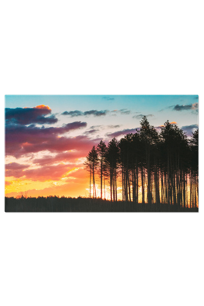 StoryGift Romania Tablou Canvas Rasarit Si Apus In Padurea De Pini, Padure, R...