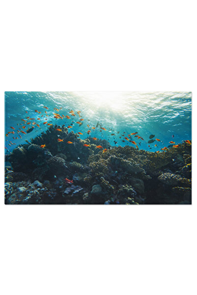 StoryGift Romania Tablou Canvas Cu Peisaj Subacvatic - Pesti Tropici Si Recif...