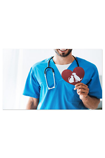 StoryGift Romania Tablou Canvas Zambetul Medicului Veterinar Aratand Rezultat...