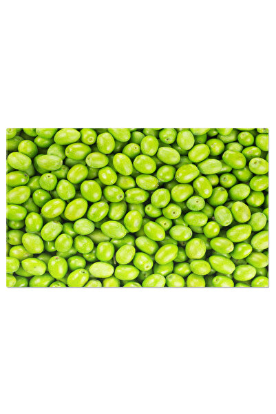 StoryGift Romania Tablou Canvas Masline Proaspete Recoltate Pentru Productia ...