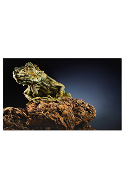 StoryGift Romania Tablou Canvas - Creaturi Colorate In Camuflaj Natural