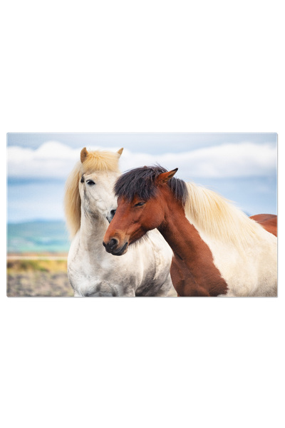 StoryGift Romania Tablou Canvas Cai Salbatici In Islanda, Natura, Islanda, Grup 2410