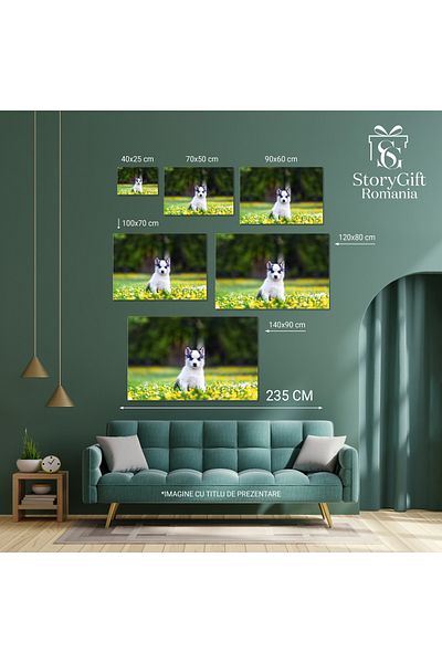 StoryGift Romania Tablou Canvas Caine Alb Mic, Rasa Husky Siberian, Caine, Animal De Companie, Husky, Gradina, 96