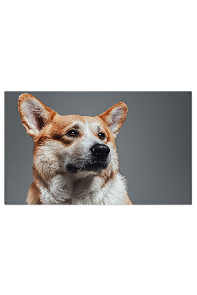 StoryGift Romania Tablou Canvas - Corgi Welsh Atent, Urechi Ascultatoare Si Expresie Serioasa